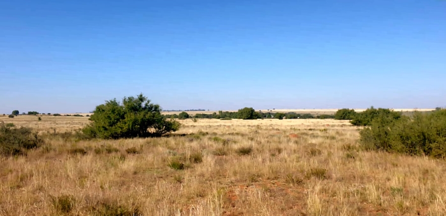 4 Bedroom Property for Sale in Petrusburg Rural Free State